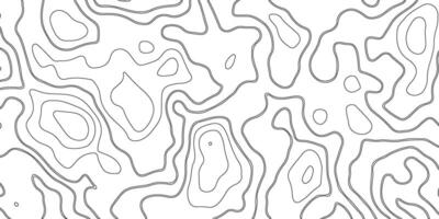 Topographic map lines, contour background. Abstract pattern with lines. vector