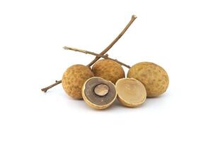 Longan fruits on branch isolated on white background photo