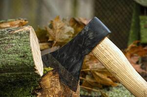 Close-up of axe embedded halfway into a tree log photo