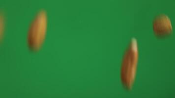 Almond with green background video