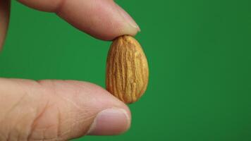 Almond with green background video