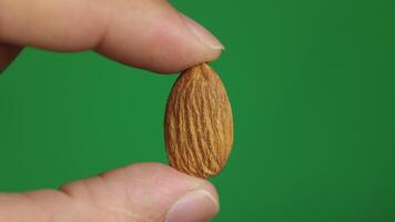 Almond with green background video