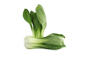 Pak choi type of Chinese cabbage isolated on white photo