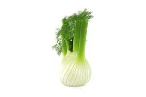 Whole fennel bulb isolated on white background photo