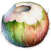 AI generated Coconut , Green coconut semi real illustration watercolor style isolated. png