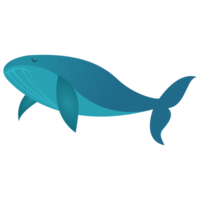 Cute whale stickers png