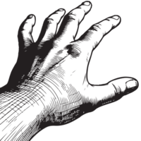AI generated sketch hand reaching forward. closeup hand man grabbed ominously stretching black outline vector illustration png