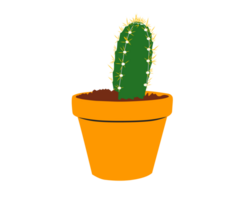 Beautiful cactus flower isolated background png