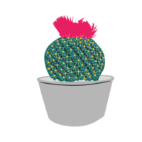 hermosa cactus flor aislado antecedentes png