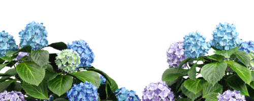 Cut out ornamental Flowery Bouquet foreground 3d rendering png file