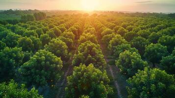 AI generated Aerial View of Green Field With Trees photo