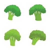 Broccoli icons set cartoon vector. Fresh green broccoli cabbage on stalk vector