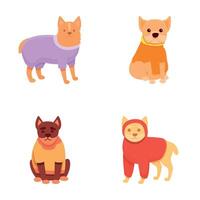 perro ropa íconos conjunto dibujos animados vector. diferente raza de perro en brillante ropa vector