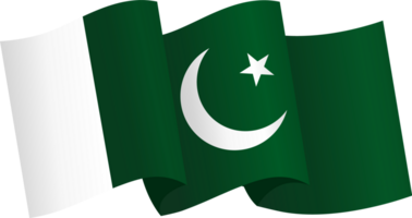 Pakistan Flagge Welle png