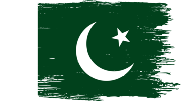 escova de bandeira do paquistão png
