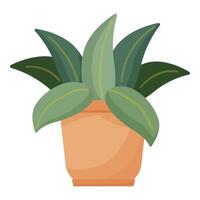 Houseplant pot icon cartoon vector. Exotic flower vector