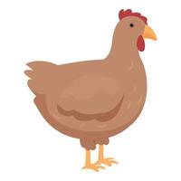 Farm chicken icon cartoon vector. Bird animal vector