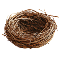 AI generated Bird nest isolated on transparent background png