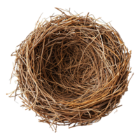 AI generated Bird nest isolated on transparent background png