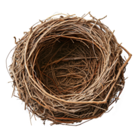 AI generated Bird nest isolated on transparent background png