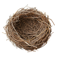 AI generated Bird nest isolated on transparent background png