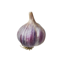 AI generated Clear Garlic Bulb Design Kit png