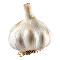 AI generated Garlic Bulb Isolated Clip Collection png