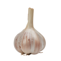 AI generated Transparent Garlic Bulb Set png