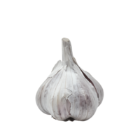 AI generated Garlic Cloves with Transparent Background Clipart png