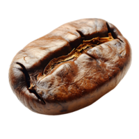 ai generato aromatico caffè fagiolo clipart png