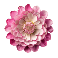 ai généré tranquille rose fleur clipart png