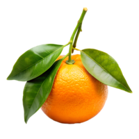 AI generated fresh orange fruit with leaves and branches isolated on transparent background png