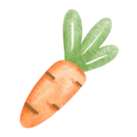 carino digitale pittura acquerello carota png