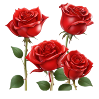 AI generated Beautiful Rose flower set design isolated on transparent background png