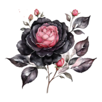 ai generado acuarela uno Rosa flor diseño png