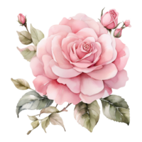 AI generated Watercolor One Rose flower design png