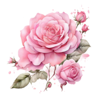 ai generato acquerello uno rosa fiore design png