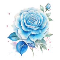 AI generated One Rose flower design png