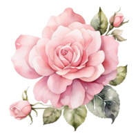 ai généré aquarelle un Rose fleur conception png