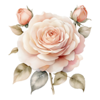 AI generated Watercolor One Rose flower design png