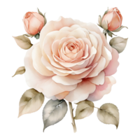 ai généré aquarelle un Rose fleur conception png