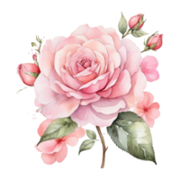 ai généré aquarelle un Rose fleur conception png