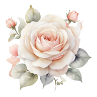 ai generado acuarela uno Rosa flor diseño png