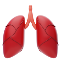 Lungs 3D Icon. Human Lungs internal organ 3d illustration png