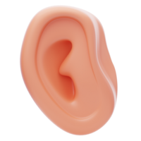 ear 3d icon. Realistic human ear 3d icon png