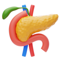 Pancreas 3D Icon. A close up human pancreas png