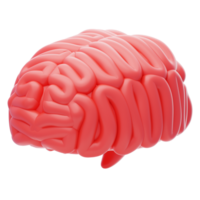 cerebro 3d icono. humano cerebro 3d icono png