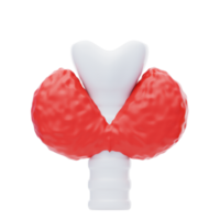 tireoide 3d ícone. tireoide glândula 3d ícone png