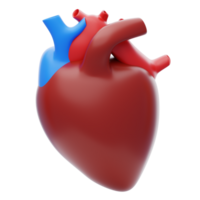 Heart 3D Icon. Human Heart 3D Illustration png