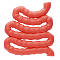 piccolo intestino 3d icona. intestino 3d icona png